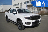 國產(chǎn)索羅德汽油國六版來襲 寬近兩米 功率高達(dá)160kW