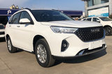 會(huì)成為年輕人的第一臺(tái)車嗎？哈弗M6 PLUS購(gòu)車手冊(cè)