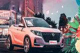 東風(fēng)風(fēng)光500新車型曝光！雙門敞篷設(shè)計 搭粉色涂裝