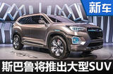 斯巴鲁将产大型SUV  尺寸超路虎揽胜-图