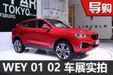 讓豪華觸手可及 長(zhǎng)城汽車WEY 01實(shí)拍