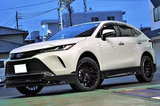 丰田“大号RAV4”运动版！搭2.5L/今年11月投产