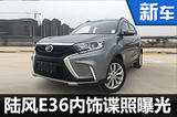 陆风将推出小SUV 酷似雷克萨斯NX(多图)