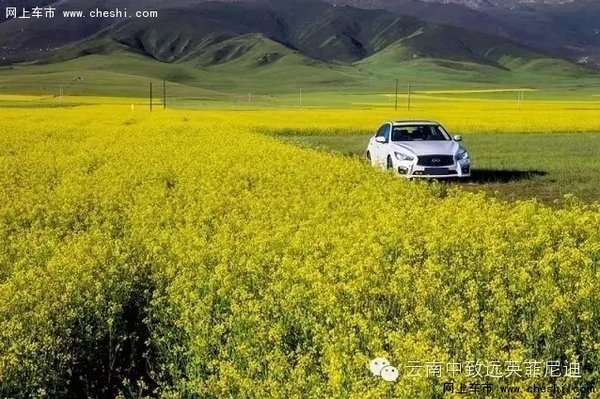 草长“英菲”，踏春去！-图2