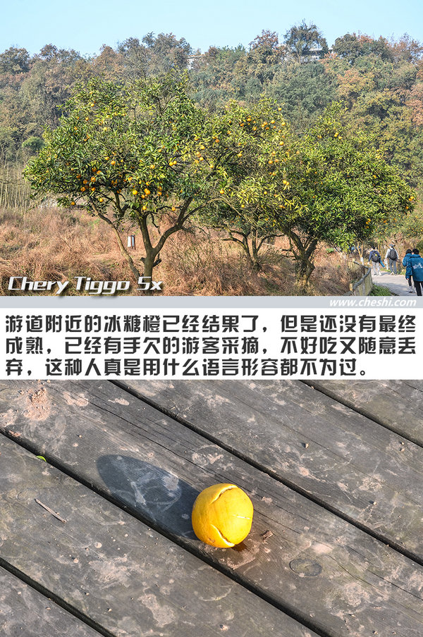 开它比吃火锅还爽 奇瑞瑞虎5x重庆“悦野”之旅-图9