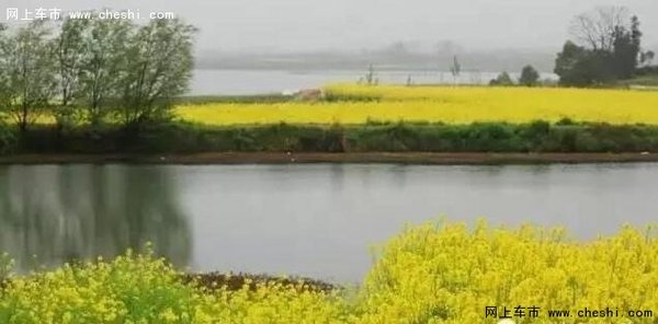 油菜花开，游览南京周边最“黄”的地方-图9