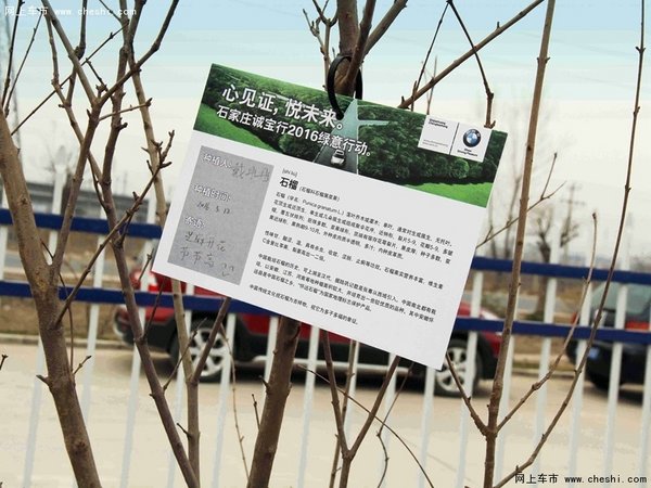 心见证，悦未来-石家庄诚宝行植树节活动-图3