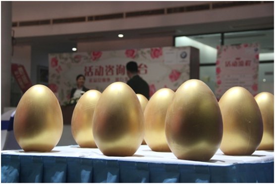 南宁粤宝“我和春天有个约会”-图2