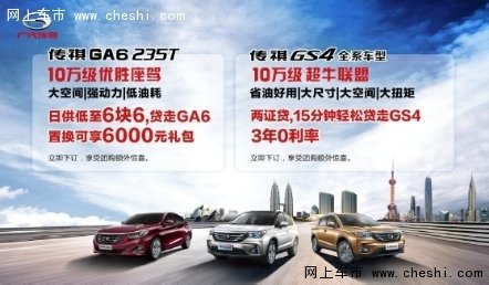 真芯英雄 无可T代友芝友传祺团购嘉年华-图6