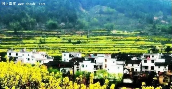 油菜花开，游览南京周边最“黄”的地方-图13