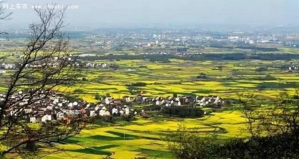 油菜花开，游览南京周边最“黄”的地方-图11
