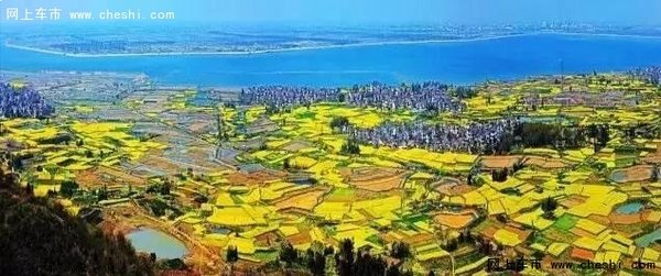 油菜花开，游览南京周边最“黄”的地方-图10