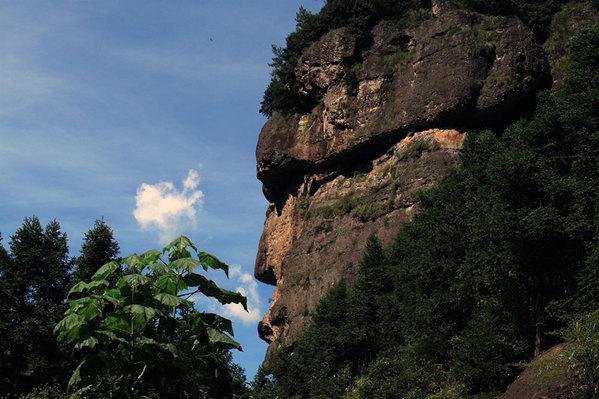 資訊 > 正文 14:00-15:00赴油菜花基地,神仙居氣勢磅礴的山體就是背景