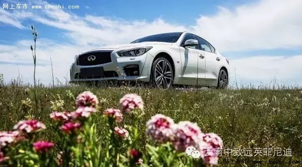 草长“英菲”，踏春去！-图3