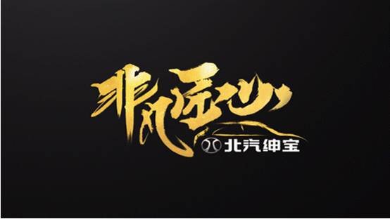 北汽绅宝独家冠名非凡匠心节目口碑爆棚-图6