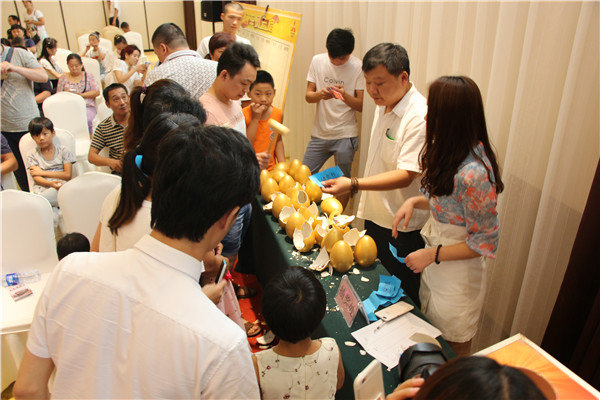 郑州源流DX7荣耀版上市发布会圆满结束-图4