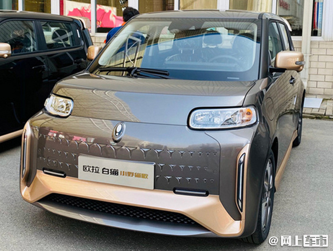 欧拉上半年销量超5万辆-增456.9 黑猫热销涨284-图6