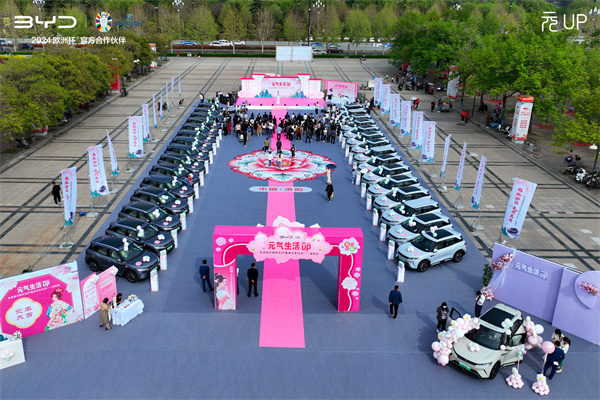 比亚迪王朝网元up集体交车仪式洛阳站盛大举办