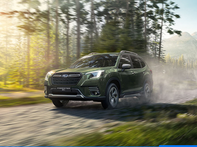 酷暑难耐斯巴鲁森林人带你躲进森林-图12