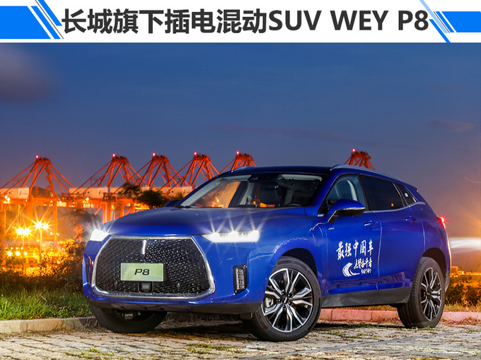 中国汽车首次探访洋山港 一场全球最大的对话-图1