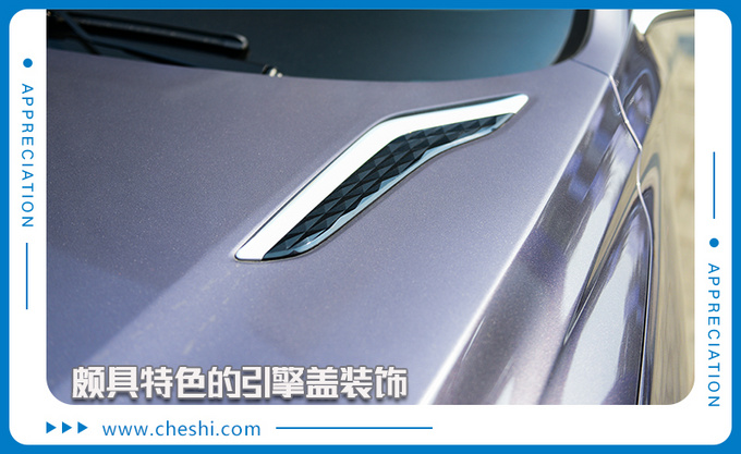 自由定制专供极客玩家上汽MAXUS D60到店实拍-图8