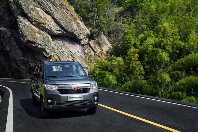 这几类皮卡此前国内少见有一类将影响市场发展-图13