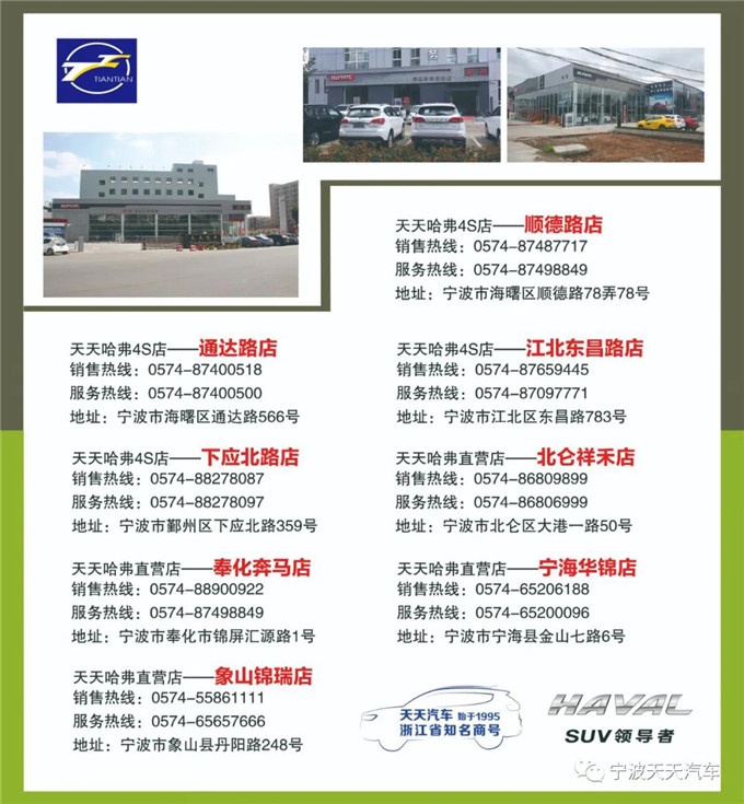 潮玩旅伴哈弗大狗带你探索生活新境界-图13