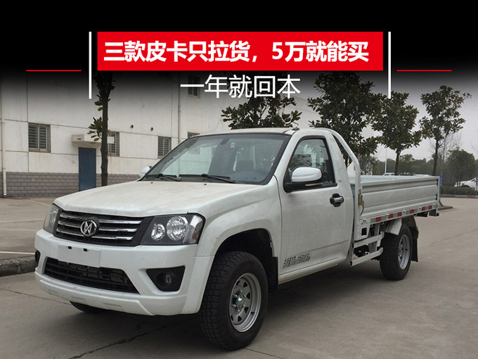 这三款车5万就能买能拉还能跑一年就回本-图1
