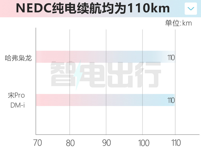 哈弗枭龙4月18日首发 或15万起售 PK比亚迪宋Pro-图2