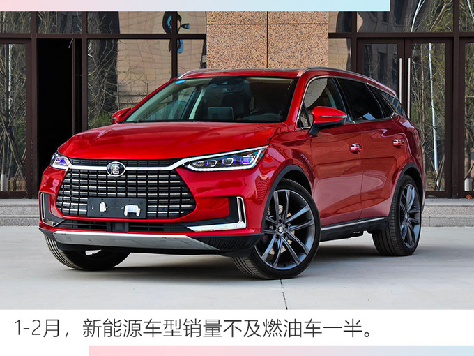 比亚迪2月销量下滑79.5 插混车大跌96.59-图5