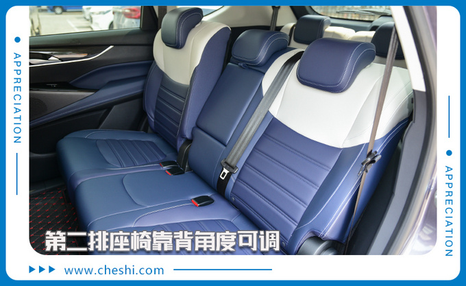 自由定制专供极客玩家上汽MAXUS D60到店实拍-图11