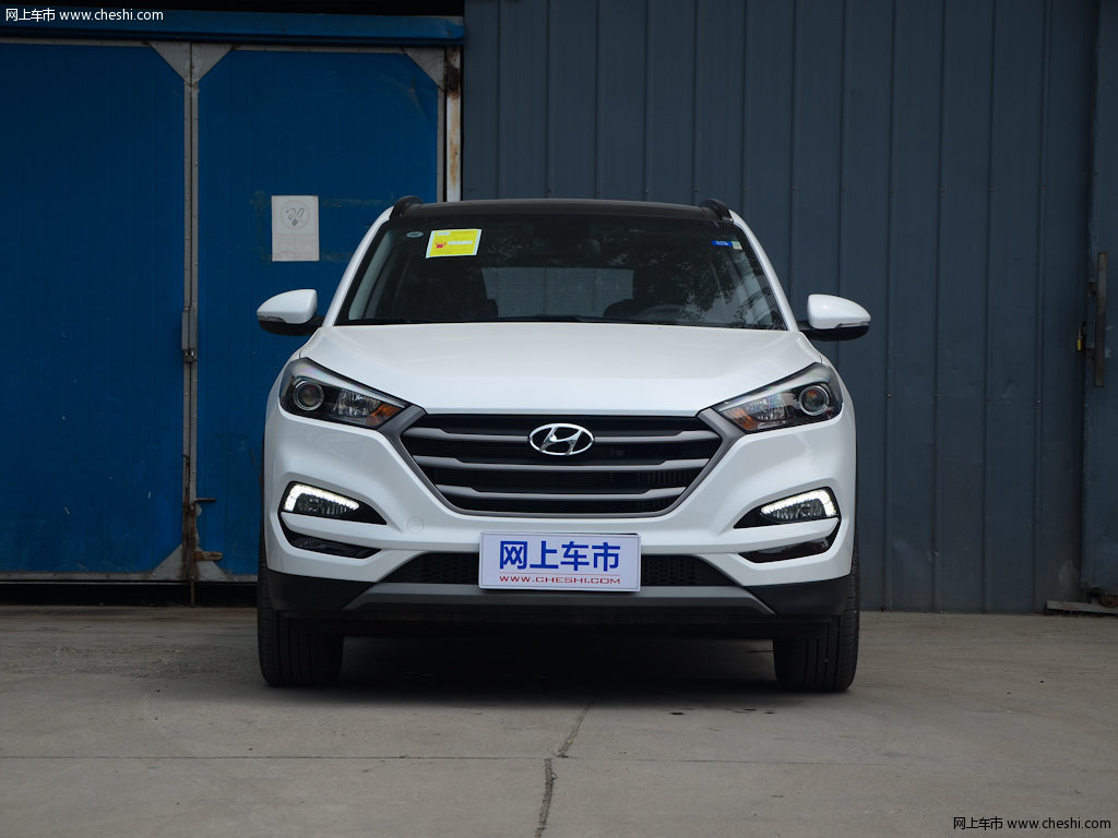 珍珠白途胜l 2015款 1.